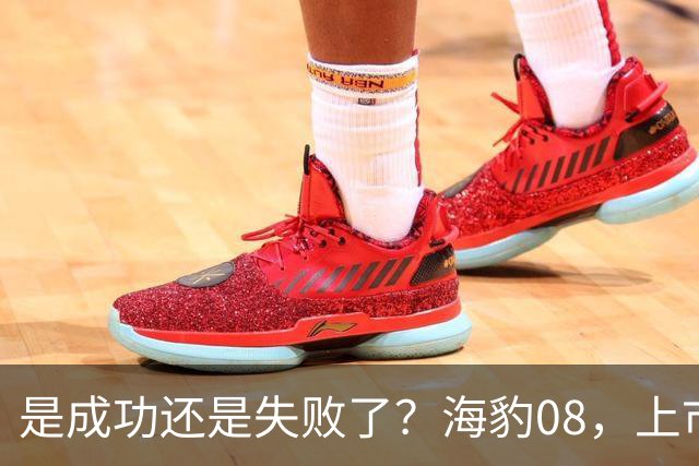 是成功还是失败了？海豹08，上市当月销量2216台